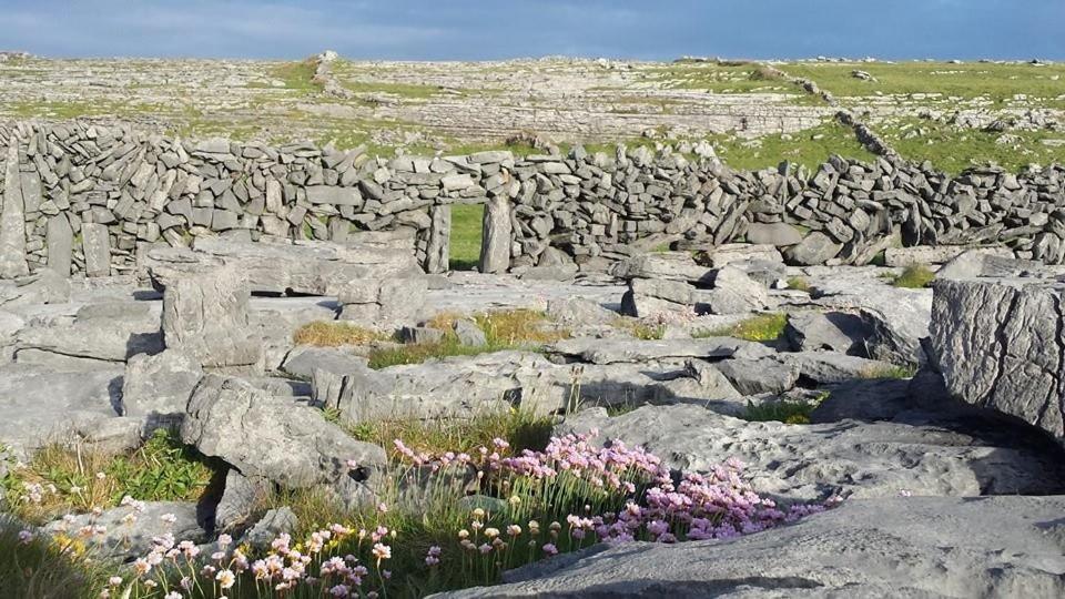 Lanelodge Doolin Exterior foto