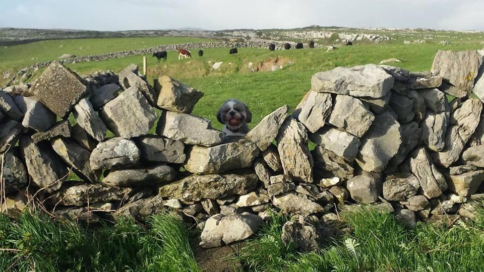 Lanelodge Doolin Exterior foto